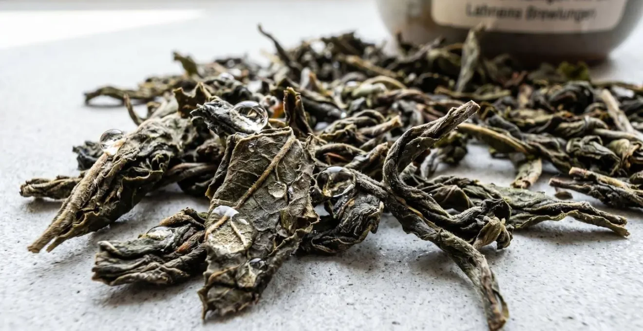 Extreme Nahaufnahme von biologischen Teeblättern mit feinen Wassertropfen, die die natürliche Blattstruktur und Details hervorheben